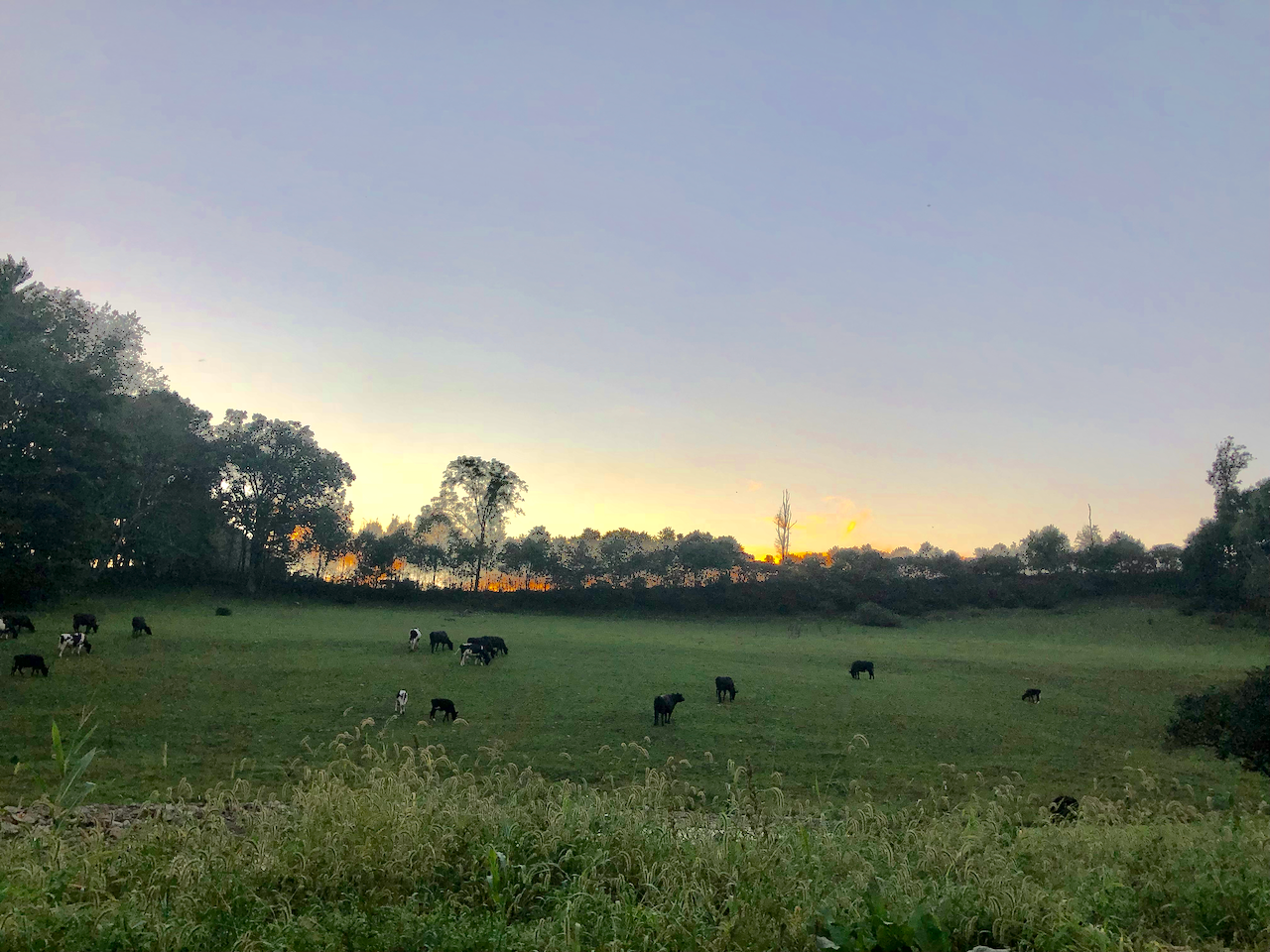 Near the Endless Mountain Zendo